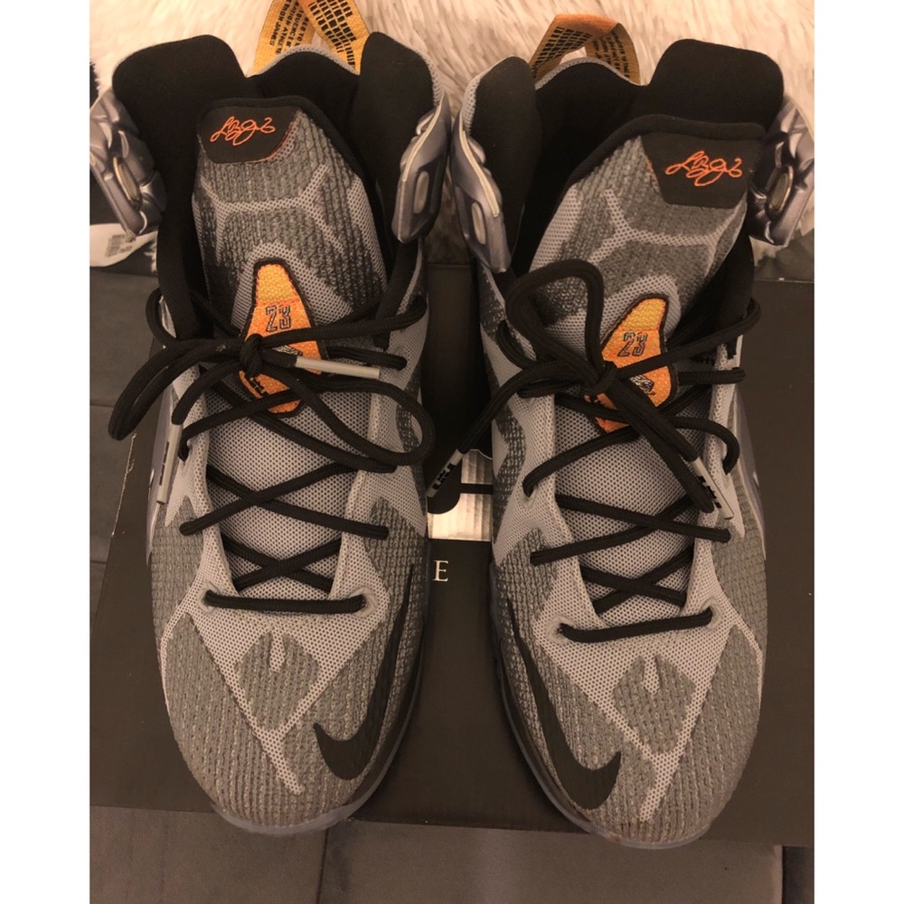 Nike LeBron The Twelve